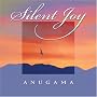 Silent Joy