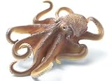 Schleich Octopus