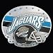 Search : Jacksonville Jaguars NFL 3D Magnet (Set of 2)