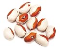 Yellow Eye, Stueben - 10 Lb Bag / Box Each