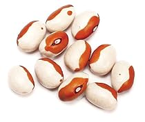 Yellow Eye, Stueben - 25 Lb Bag Each