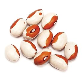 Yellow Eye, Stueben - 10 Lb Bag / Box Each