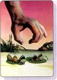 939-009 - Monty Pythons Flying Circus fridge magnet