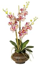 Phalaenopsis in Marble Grey Pot Flower Arrangement