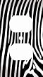 Zebra Skin Print Decorative Outlet Cover