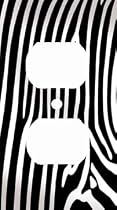 Zebra Skin Print Decorative Outlet Cover
