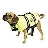 Paws Aboard Medium Designer Doggy Life Jacket, Neon Yellow