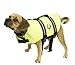 Paws Aboard Medium Designer Doggy Life Jacket, Neon Yellow