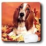 Dogs Basset Hound - Basset Hound - Mouse Pads