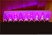 Pink C6 LED Fauceted Lights, 35 L.E.D. Bulb String, Outdoor and Indoor