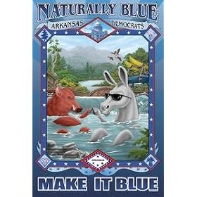 Naturally Blue Arkansas Democrats - Giclee Fine Art Canvas Print (20 x 30) by Paris