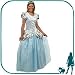 Little Adventures Adult Deluxe Cinderella L/XL
