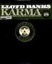 Karma [Vinyl]