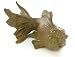 41lc%2BIRrHZL. SL75  TetraPond Koi Growth Food, 4.85 lb.