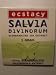 Ecstacy Salvia Divinorum ~ 10x Extract ~ 1 gram