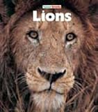 Lions