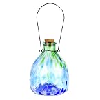 Blue & Green Glass Bug Catcher