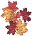 Autumn Leaves