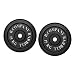 Guss 30,0Kg (2x15,0) Hantelscheiben Hantel Gewichte Scheiben Hanteln 30/31mm