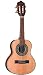 Giannini GCSM 7 Brazilian Cavaquinho