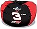 Search Our Specialty Mall : Biederlack NASCAR Earnhardt #3 Beanbag