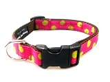 Small Fuchsia/Lime Dot - Nylon Webbing Dog Collar: 5/8 wide, Adjusts 10-14.
