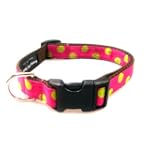 Medium Fuchsia/Lime Dot - Nylon Webbing Dog Collar