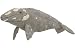 Gray Whale Oversized Animal Golf Club Headcover