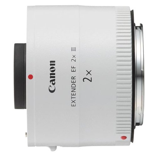Canon EF 2.0X III Telephoto Extender for Canon Super Telephoto Lenses