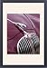 Framed Prints of Jaguar Mk 2 3.8 from Car Photo Library