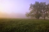 Wallmonkeys Peel and Stick Wall Decals - Morning Fog in Great Smoky Mountains National Park - 48
