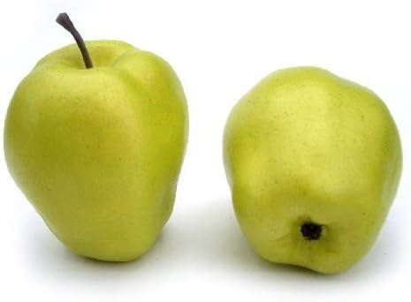 Artificial Golden Delicious Apple, Box of 12