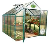 Backyard Hobby Greenhouse 8x8 - Green
