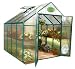 Systems Trading Rion EG45808 Backyard Hobby Greenhouse, Green, 8 By 8 Feet