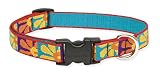 Lupine 3/4-Inch Crazy Daisy 13-22-Inch Adjustable Dog Collar for Medium to Large Dogs