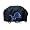 Detroit Lions