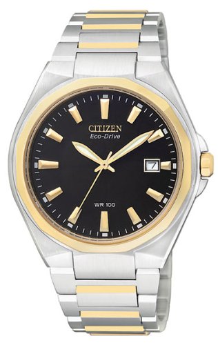 Citizen Men's BM6664-59E Eco-Drive Two-Tone Watch