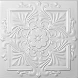 R 14 Styrofoam Direct Glue Up Ceiling Tile (20x20)