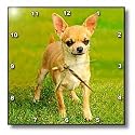 Dogs Chihuahua - Chihuahua - Wall Clocks