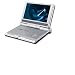Electronics : Prestigio Portable DVD player with 10' swivel Screen,USB 2.0,Silver,PPDVDP710R
