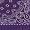 PURPLE W/ PAISLEY PRINT