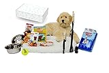 Complete Puppy Starter Kit Bundle-- Everything You Need for a New Puppy, in a Holiday Gift Box! Puppy Starter Pack / Puppy Starter Box with Brand Name, 5 Star Brands!