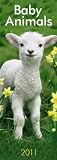 Baby Animals 2011 Slimline Calendar