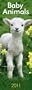 Baby Animals 2011 Slimline Calendar