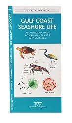 Gulf Coast Seashore Life: An Introduction to Familiar Plants and Animals (Regional Nature Guides)
