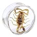 18mm Organic Scorpion Resin Saddle Plug