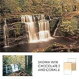 LEE Filters Coral Set - Filter kit - graduated - coral