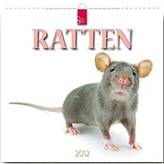 Ratten 2012