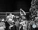 All Products : Dwight Clark - ""The Catch"" Art Poster PRINT Unknown 10x8