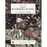 Common butterflies of India